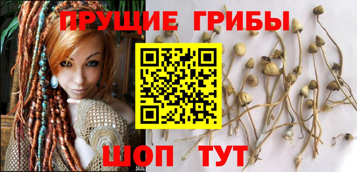 Псилоцибиновые грибы мухоморы  Галлюциногенные грибы GOLDEN TEACHER  Горячий Ключ  купить закладку  Вход с VPN 